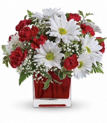 Red And White Delight by Teleflora